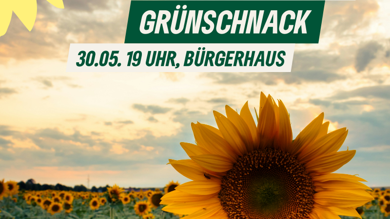 Grünschnack mit Sonnenblume