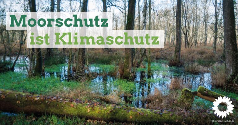 Moorschutz ist Klimaschutz